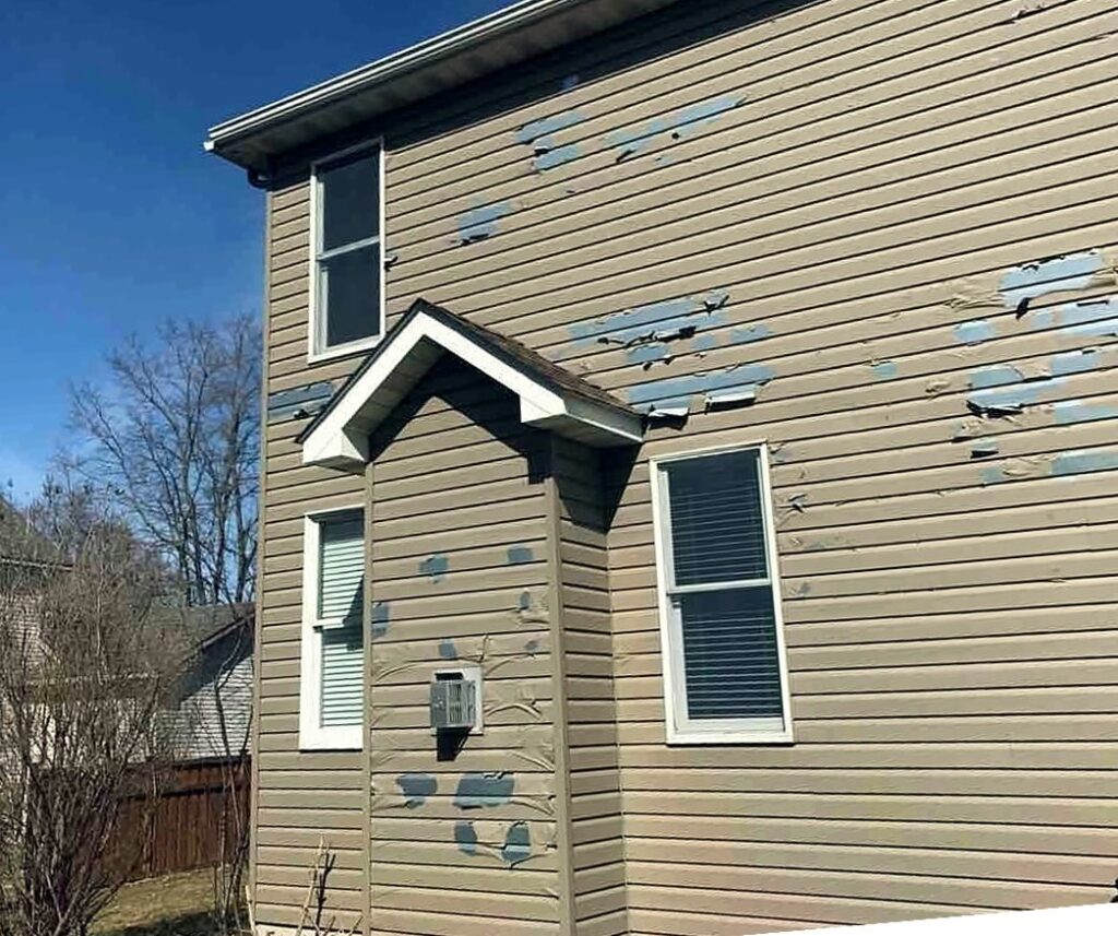 Can You Paint Vinyl Siding Should You? Sims