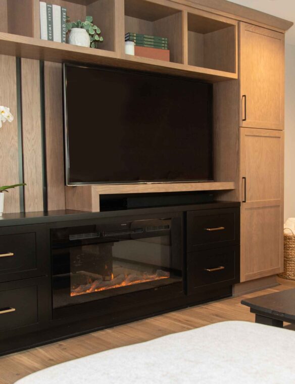 Basement Remodel Madison Entertainment Center