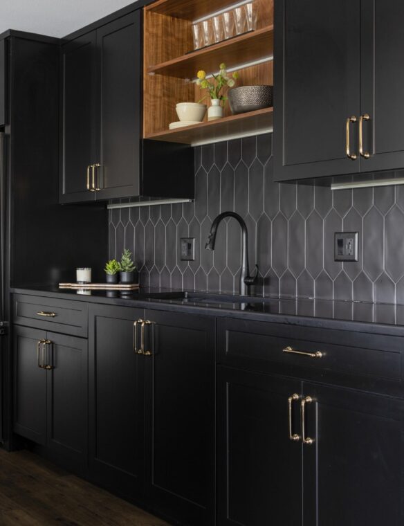 Basement Remodel Waunakee Blanco Liven Sink