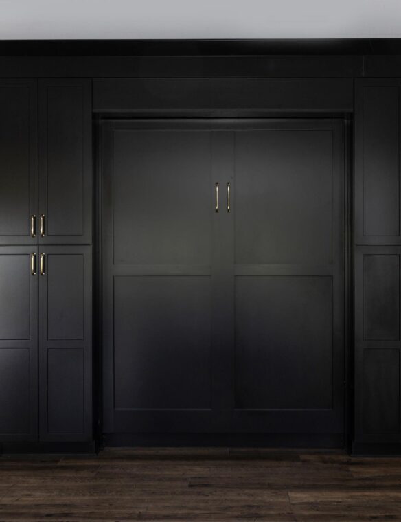 Basement Remodel Waunakee Murphy Bed with Storage