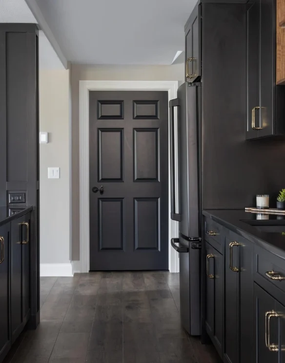 Basement Remodel Waunakee Stained Black Door