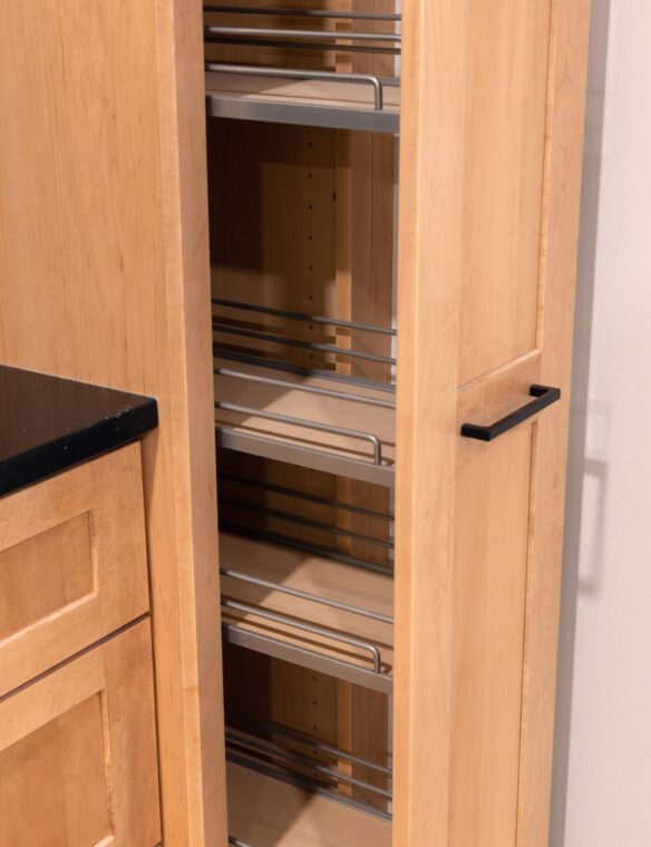 Basement Remodel DeForest Showplace Pull-out